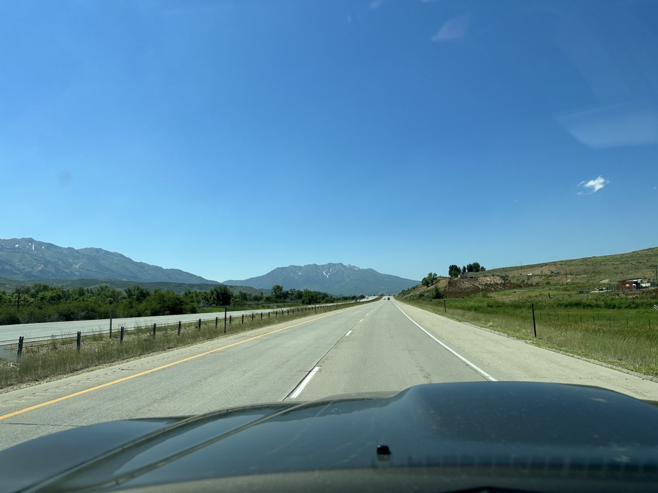 IMG_2977.jpg
