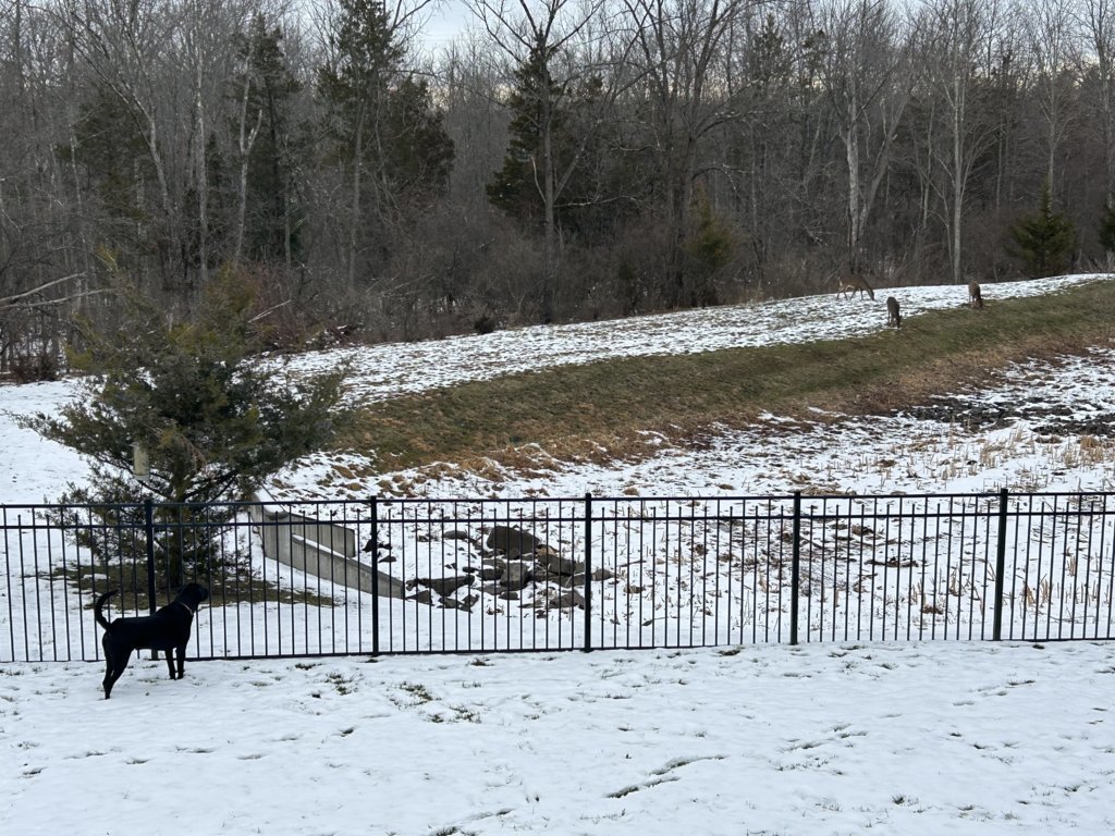 IMG_3031.jpg