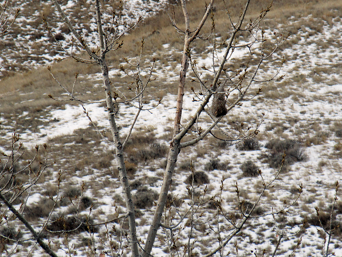 IMG_3056.jpg