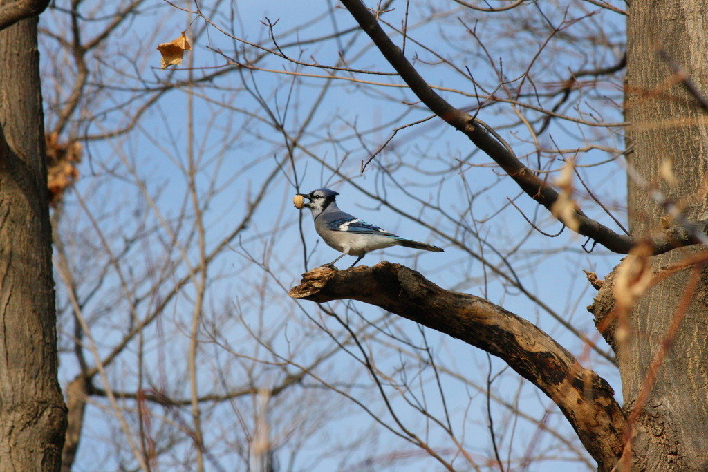 IMG_3072_zpsk3oc6jl5_ee453eb7db2d8665e71a1b82d39028f1dca9e67c.jpg