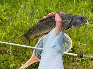 IMG_3076.jpg