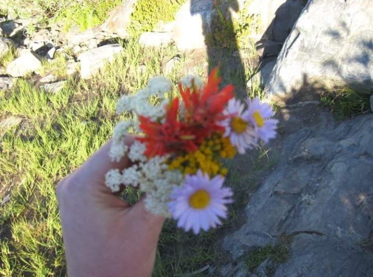 IMG_3078.PNG.jpg