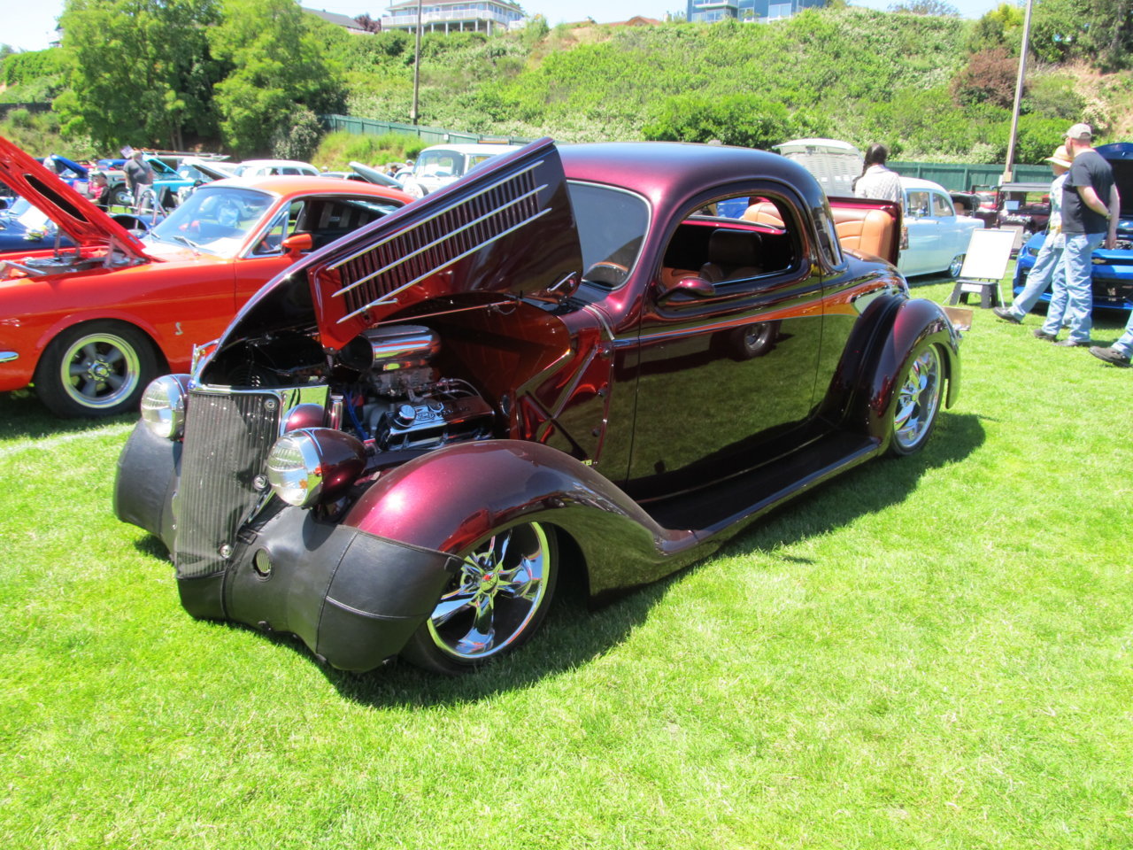 IMG_3081.jpg