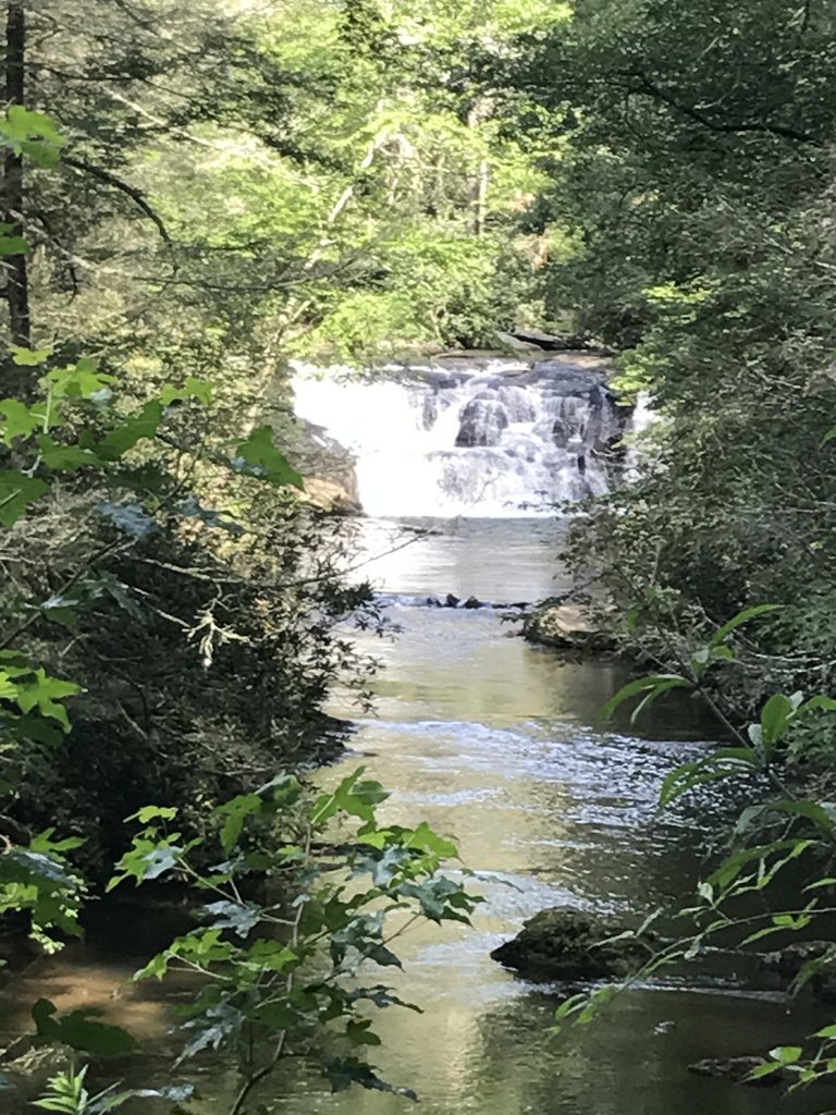 IMG_3095.jpg