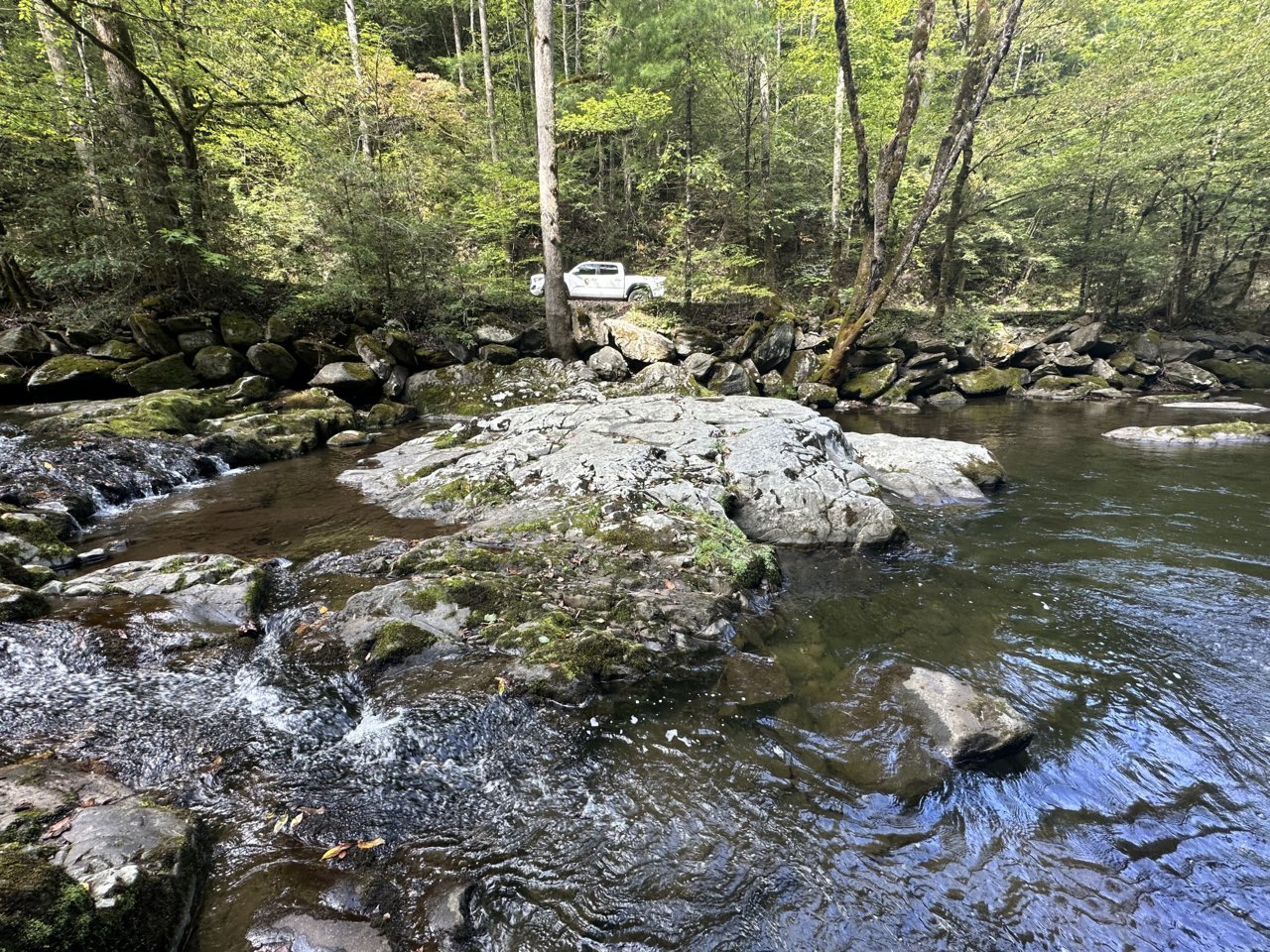 IMG_3098.jpg