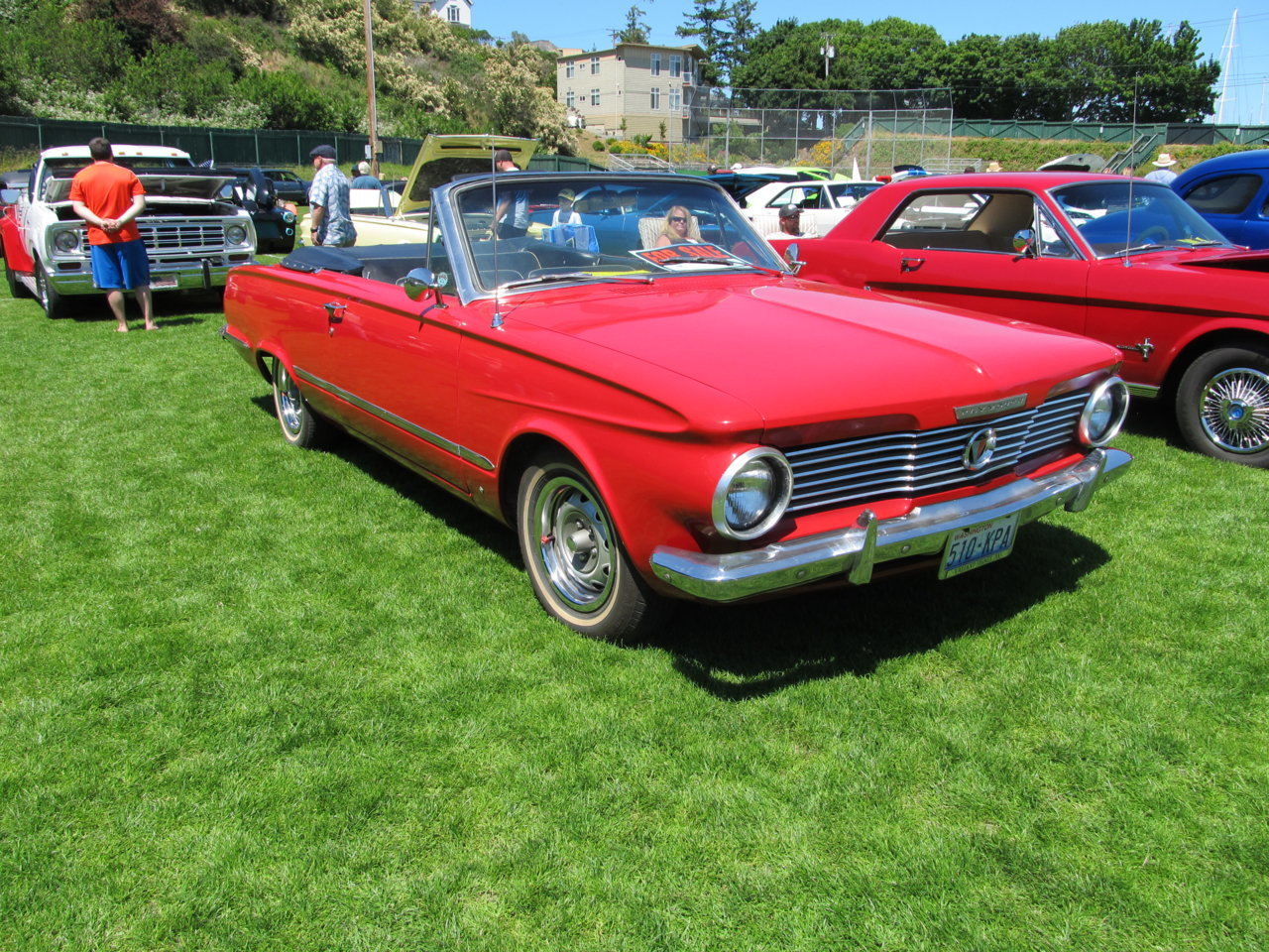 IMG_3115.jpg