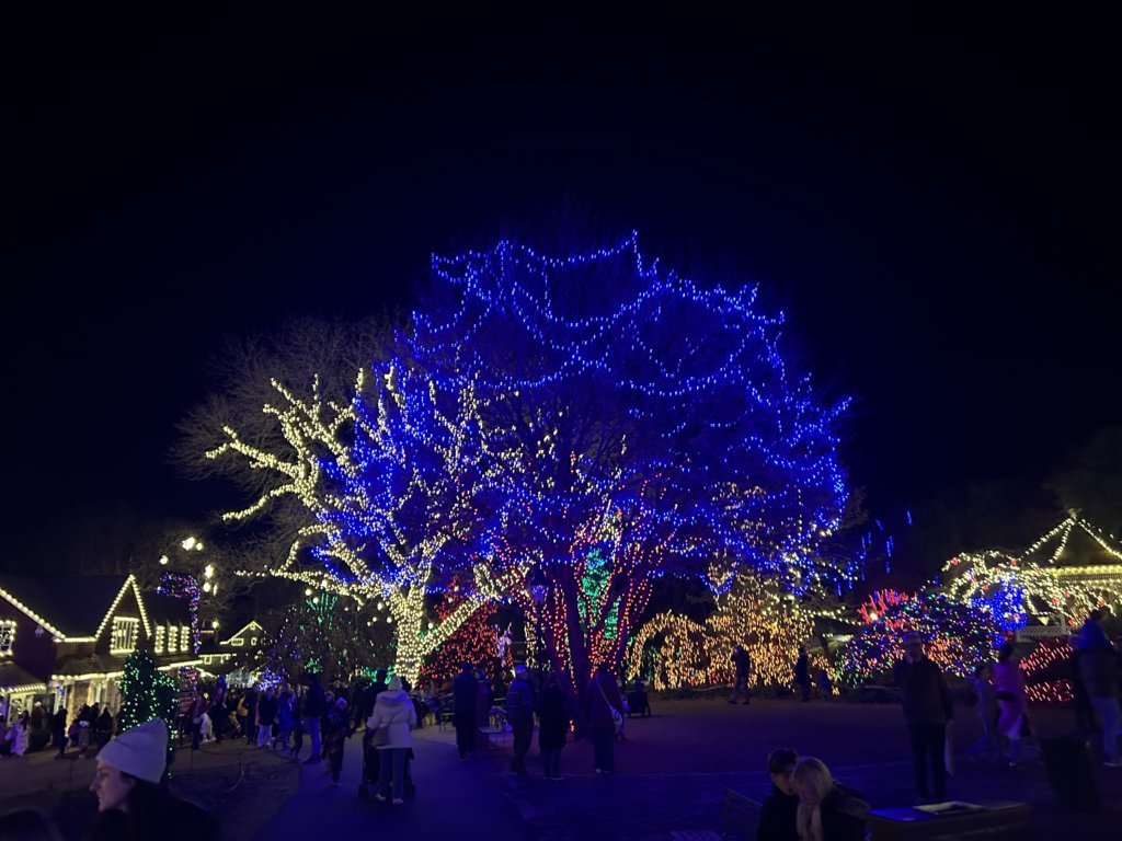 IMG_3181.jpg