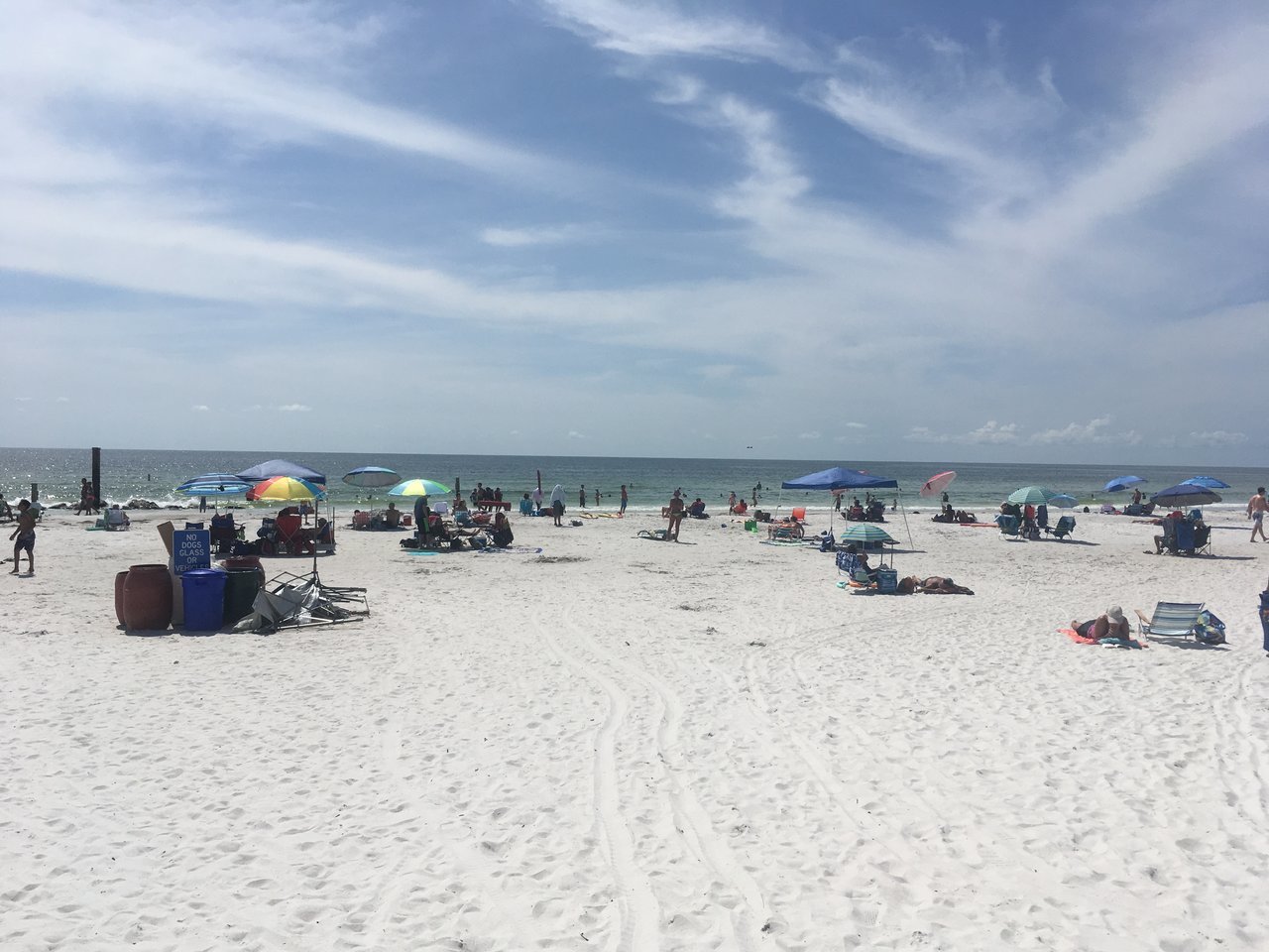 IMG_3226.jpg