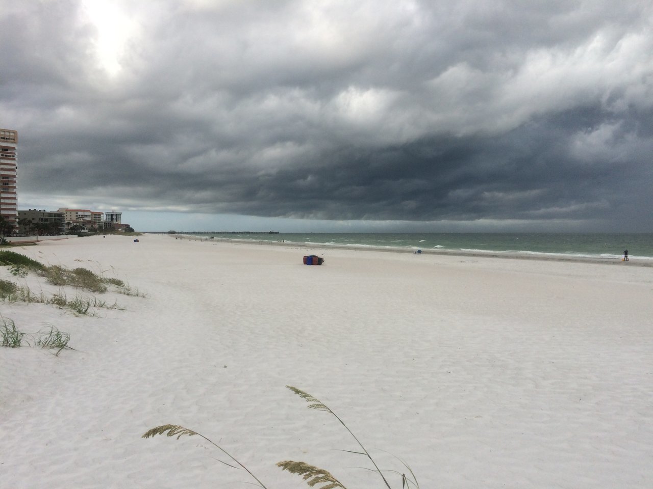 IMG_3246.jpg