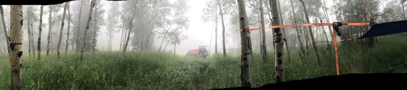 IMG_3254.jpg