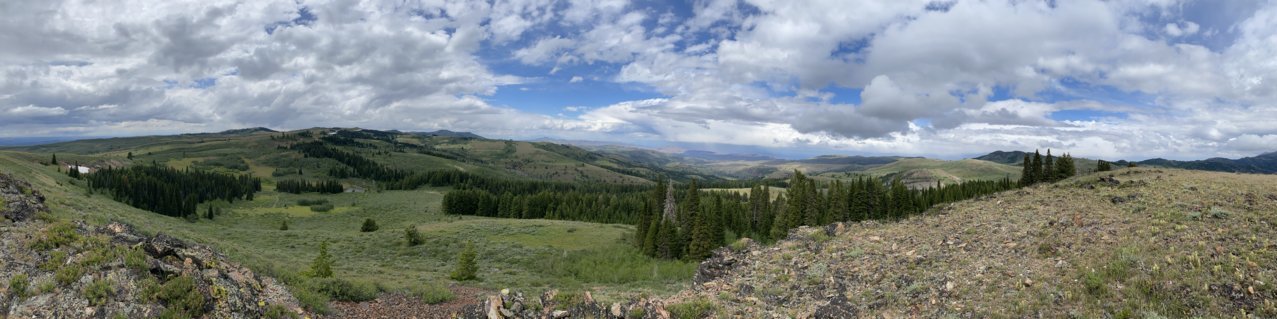 IMG_3289.jpg
