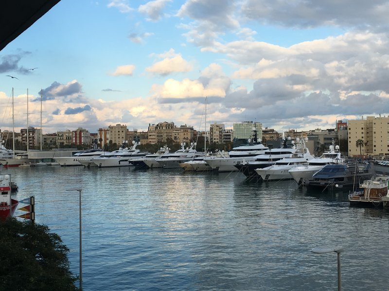 IMG_3295.jpg