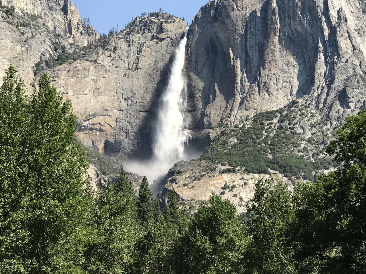 IMG_3334.jpg
