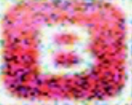 IMG_3374.PNG.jpg