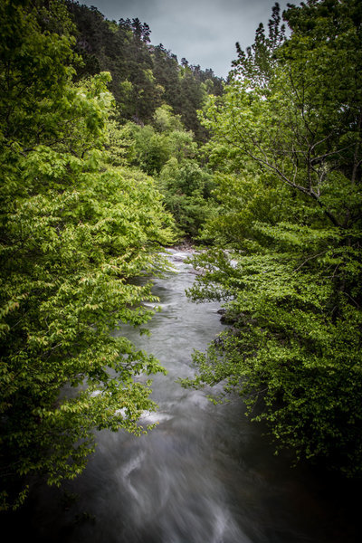 IMG_3390.jpg