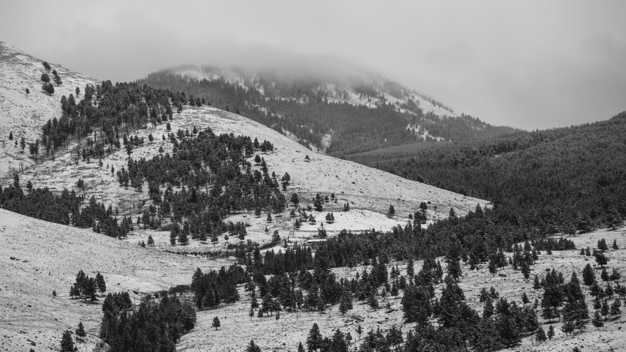 IMG_3393.jpg
