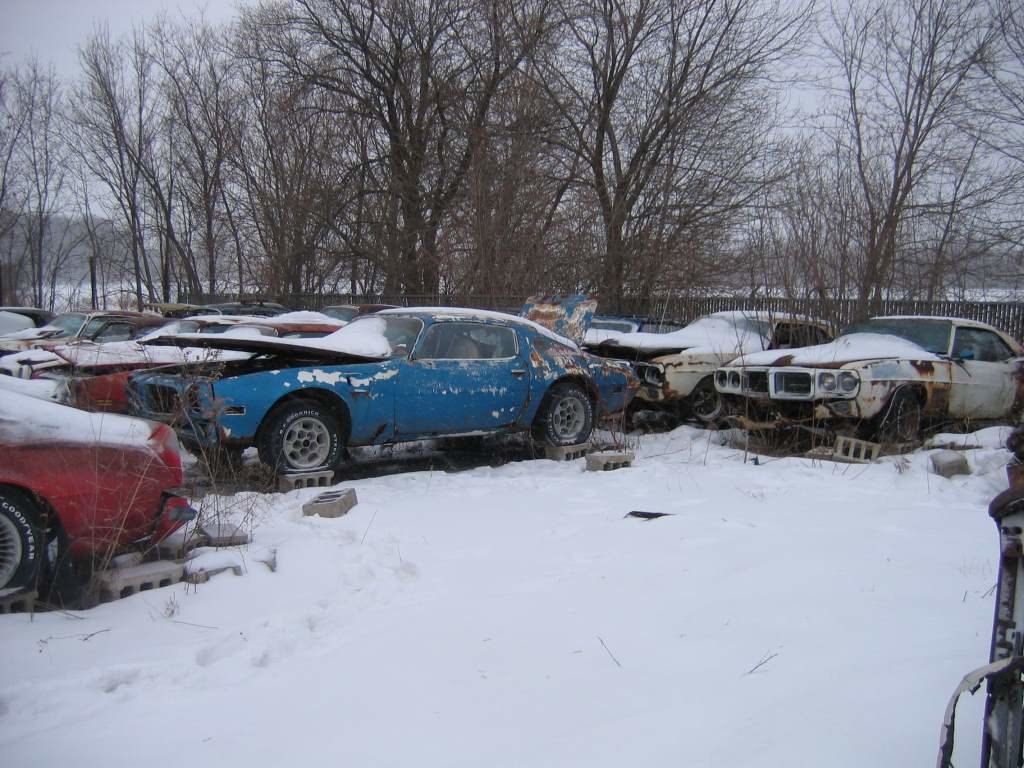 IMG_3421sm.jpg