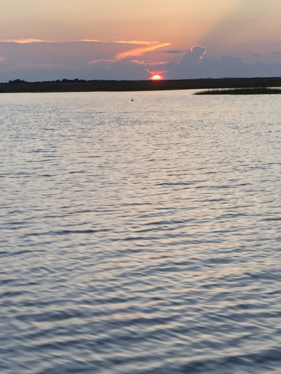 IMG_3429.jpg