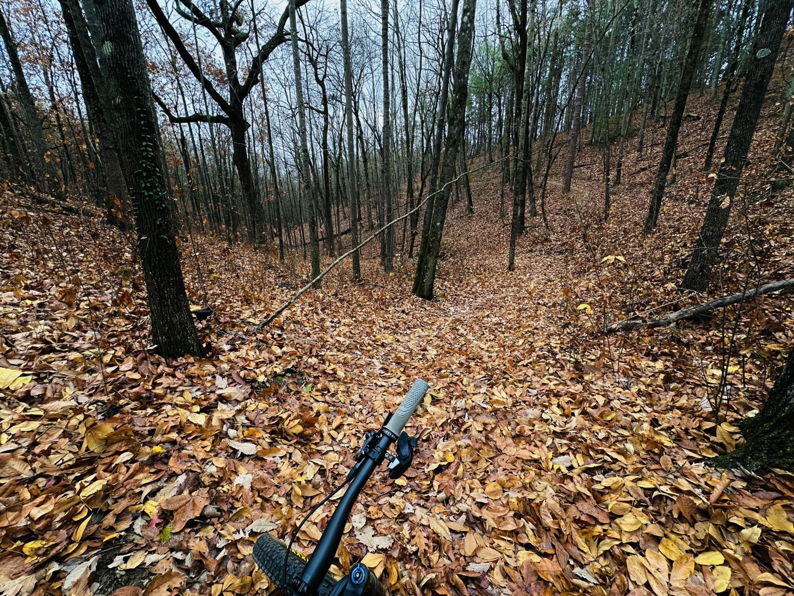 IMG_3461.jpg