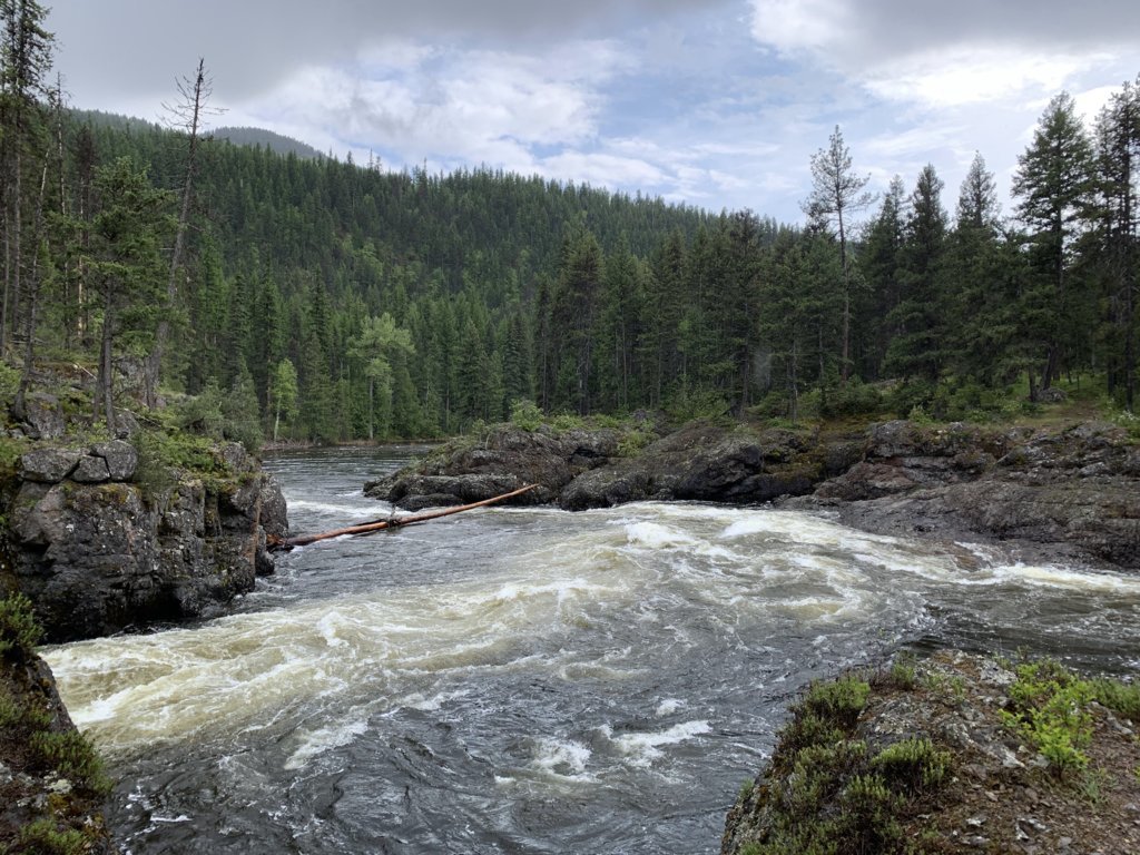 IMG_3465.jpg