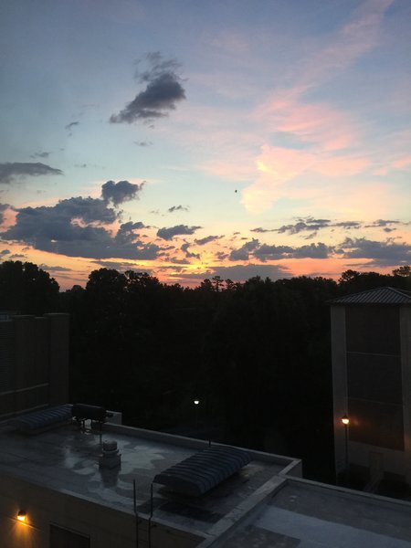 IMG_3466.jpg