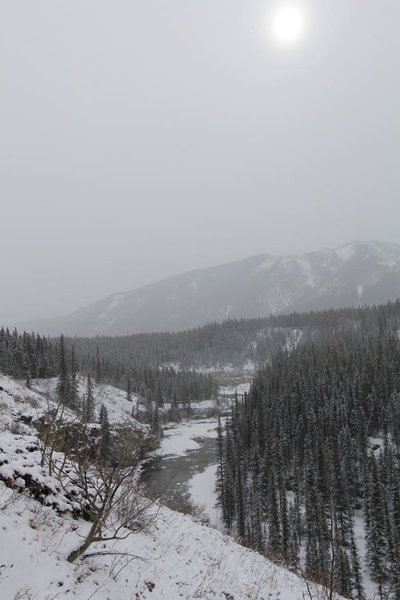 IMG_3485.jpg