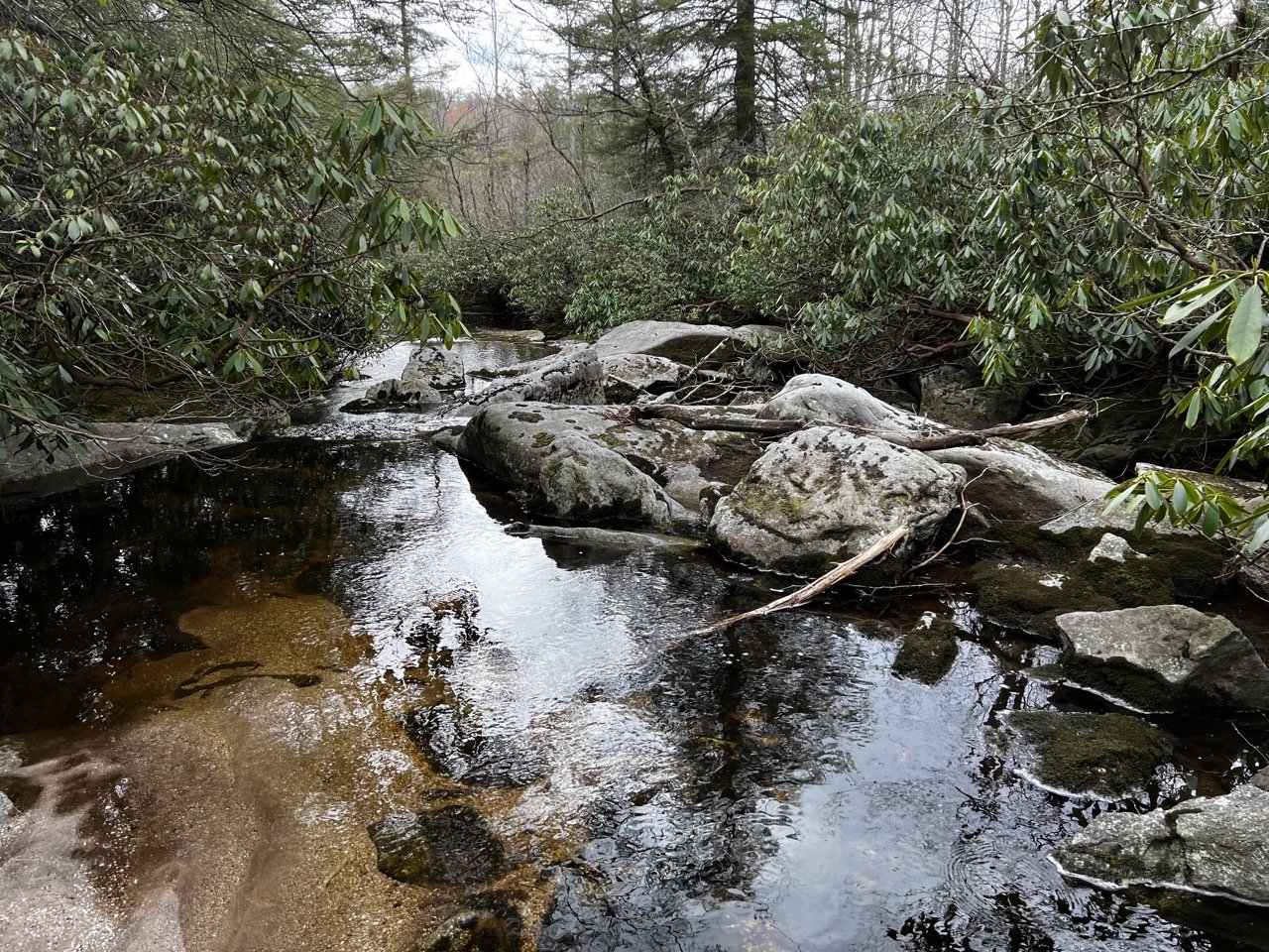 IMG_3494 Large.jpg