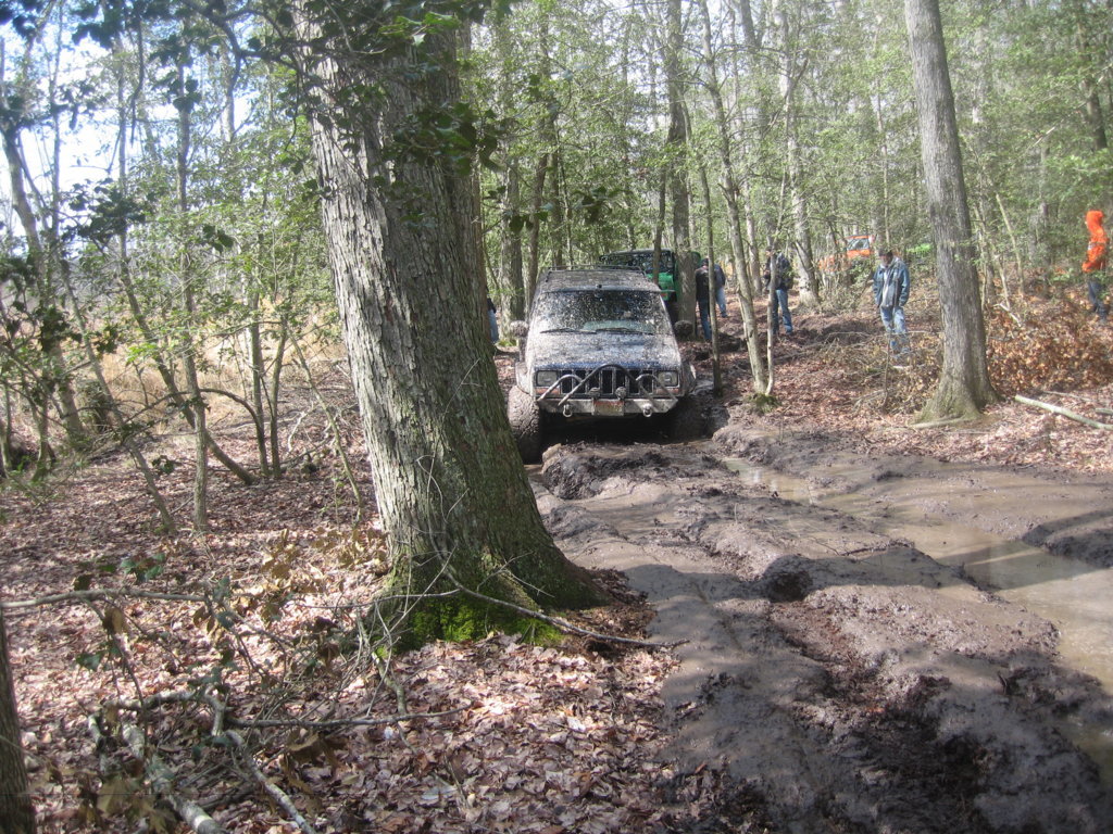 IMG_3501.jpg