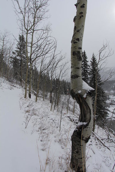 IMG_3505.jpg