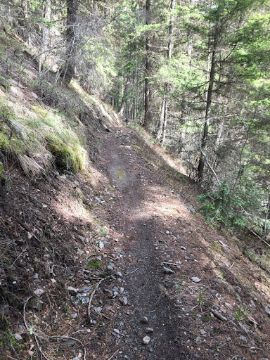 IMG_3515.jpg