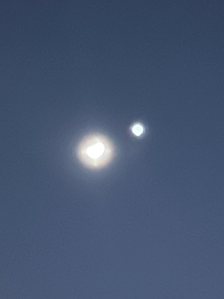 IMG_3518.jpg