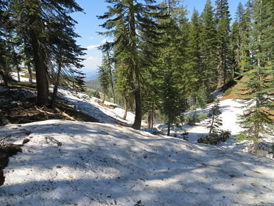IMG_3536_opt.jpg