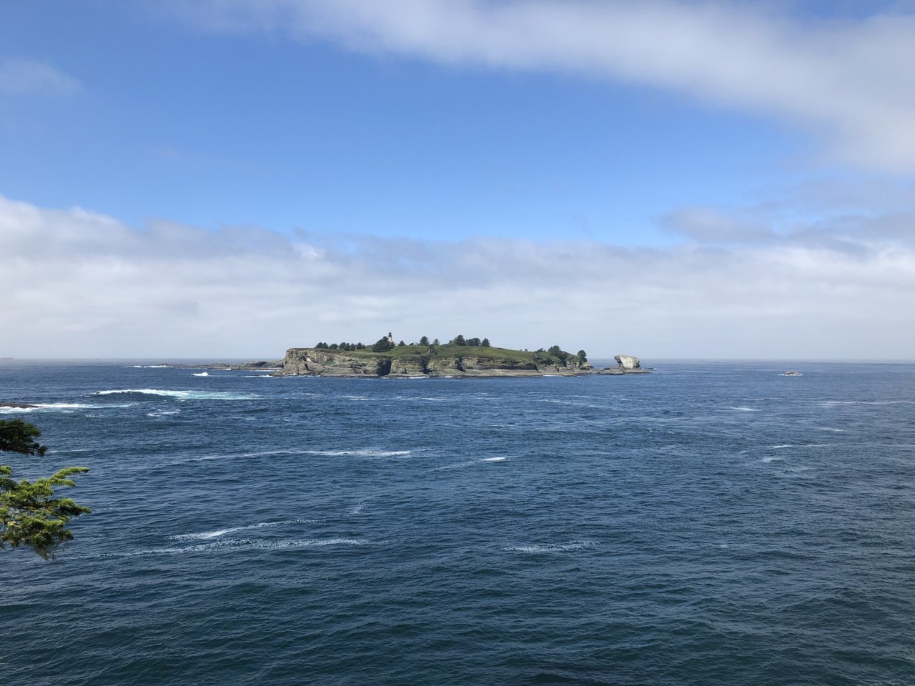 IMG_3575.jpg