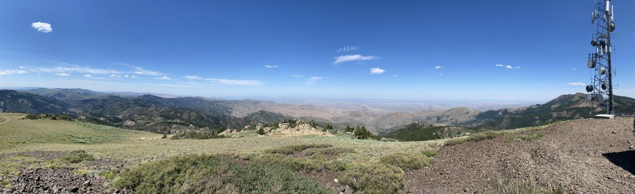 IMG_3595.jpg