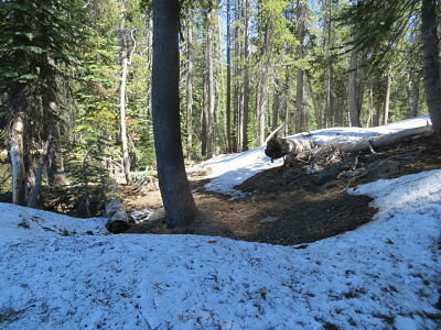 IMG_3602_opt.jpg