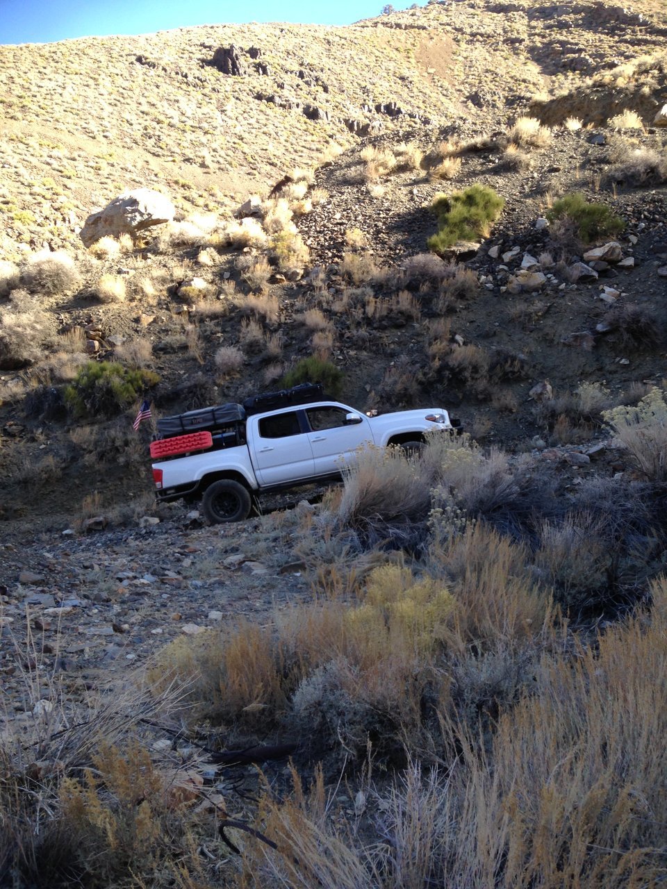 IMG_3621.jpg