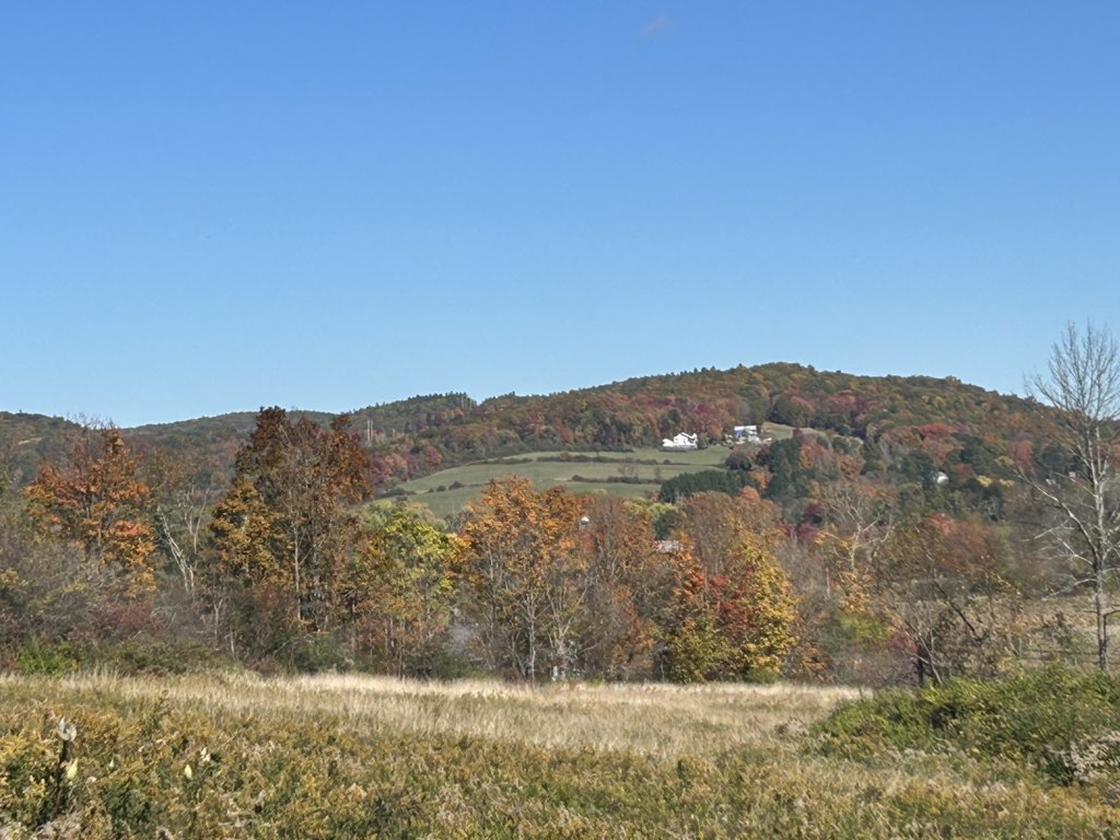 IMG_3631.jpg