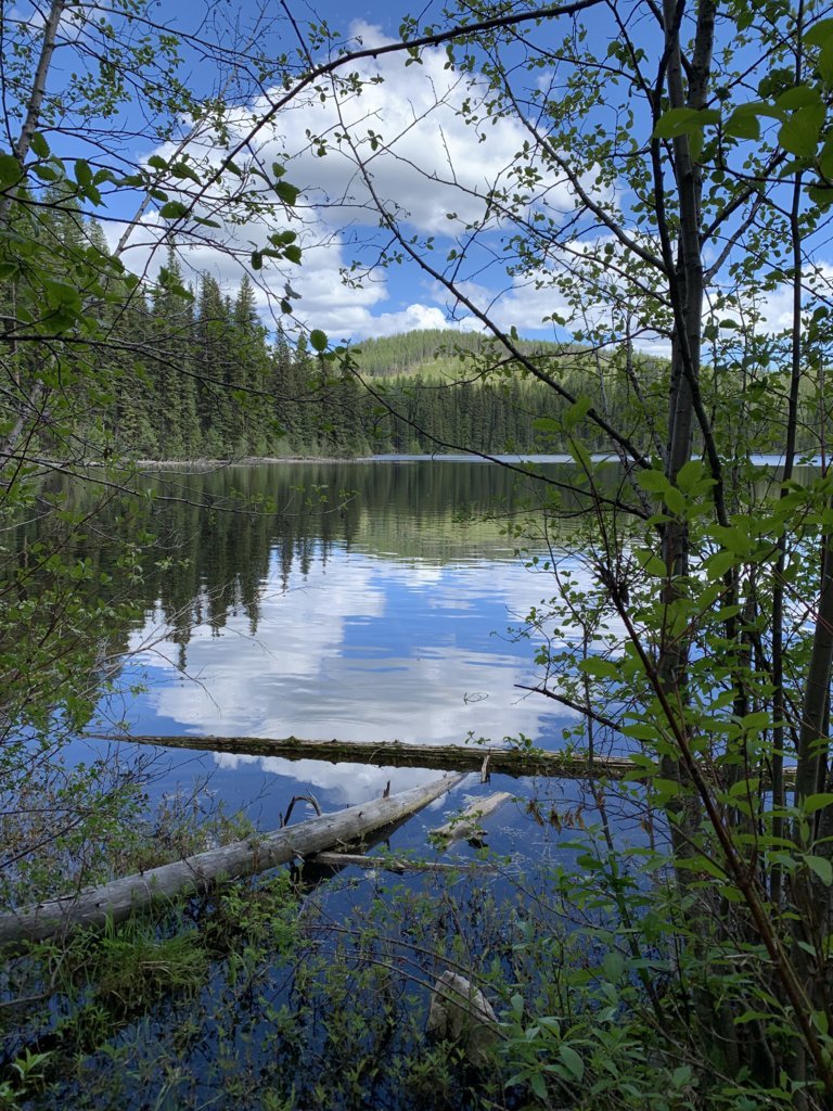 IMG_3640.jpg