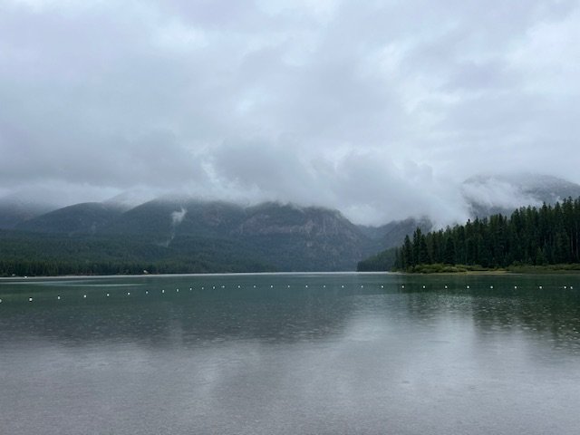 IMG_3664.jpg