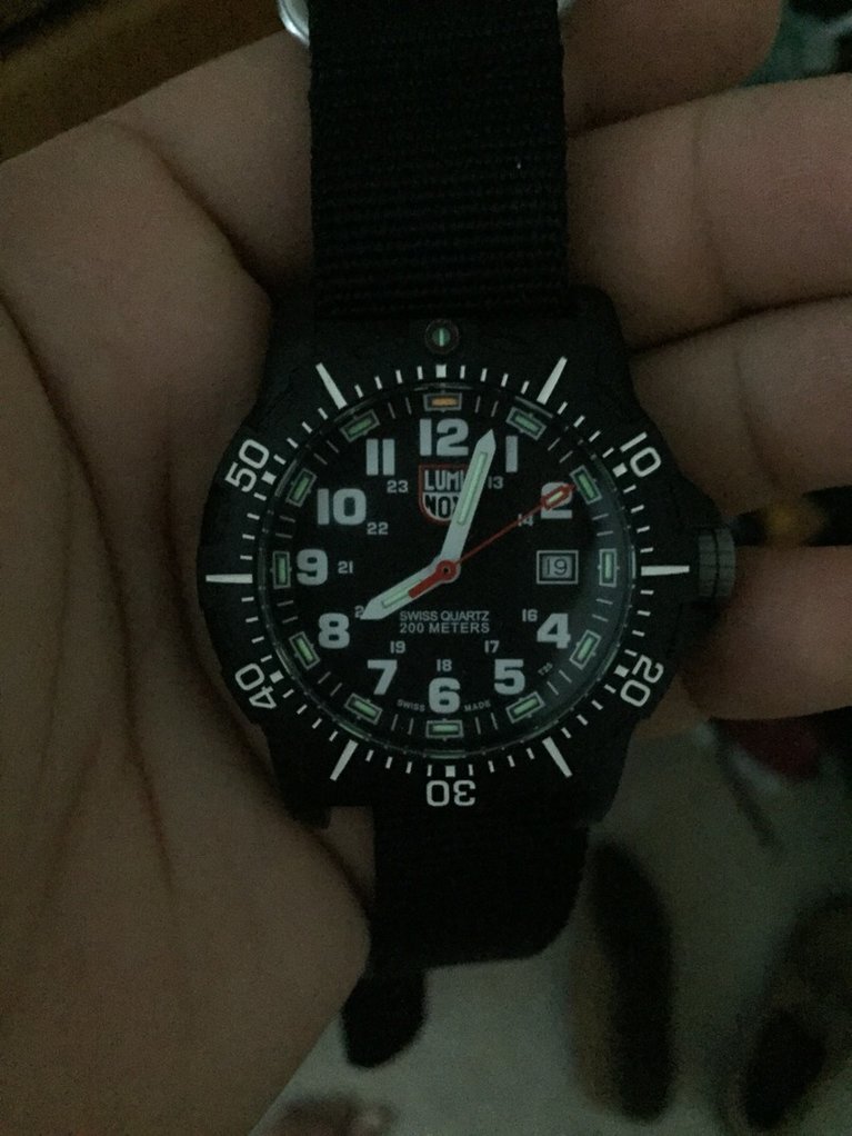 Luminox 8800 best sale