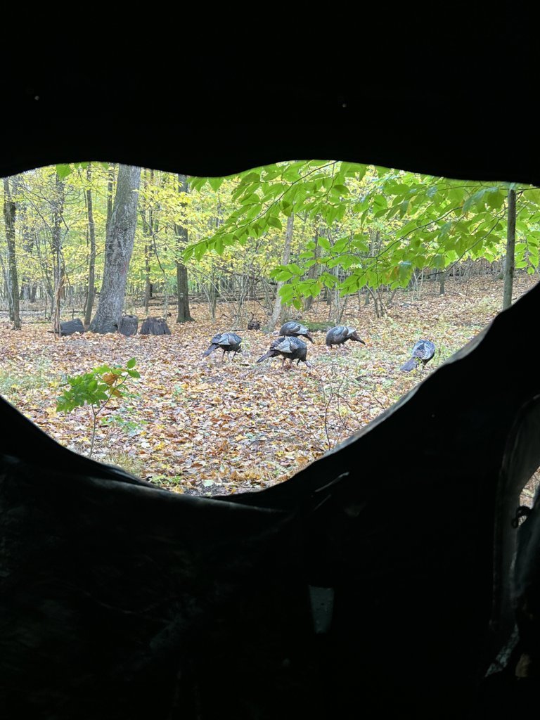IMG_3674.jpg