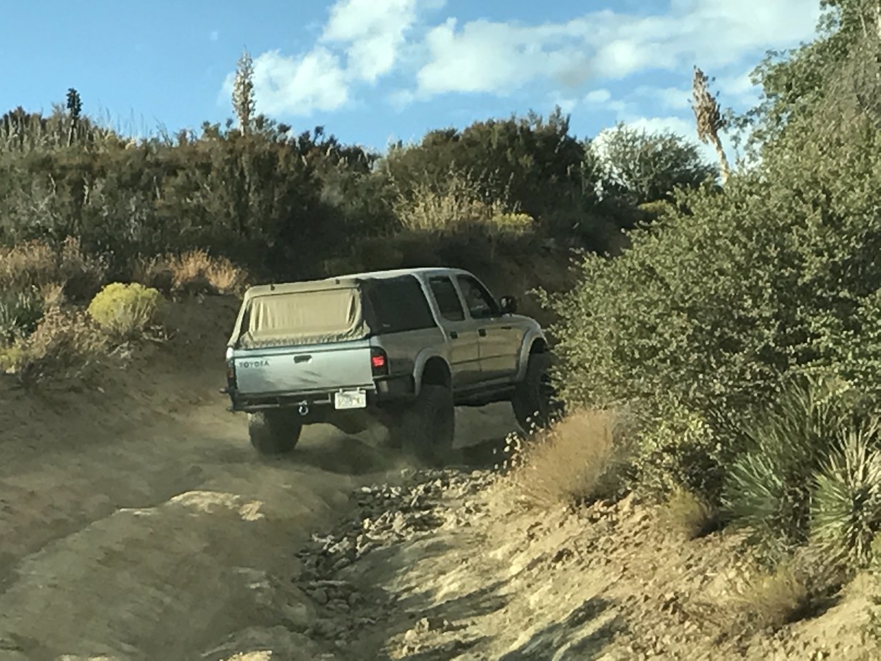 IMG_3695.jpg