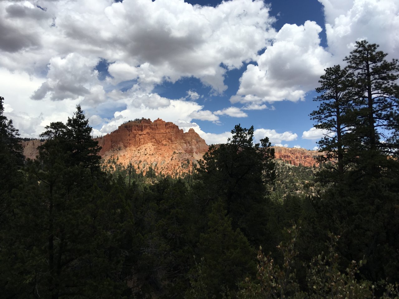 IMG_3708.jpg