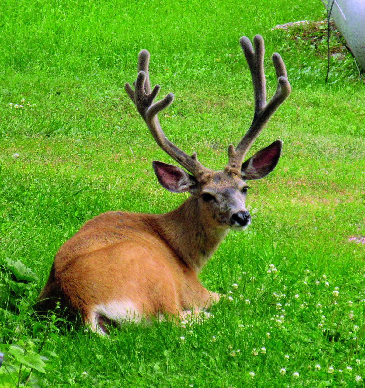 IMG_3718.jpg