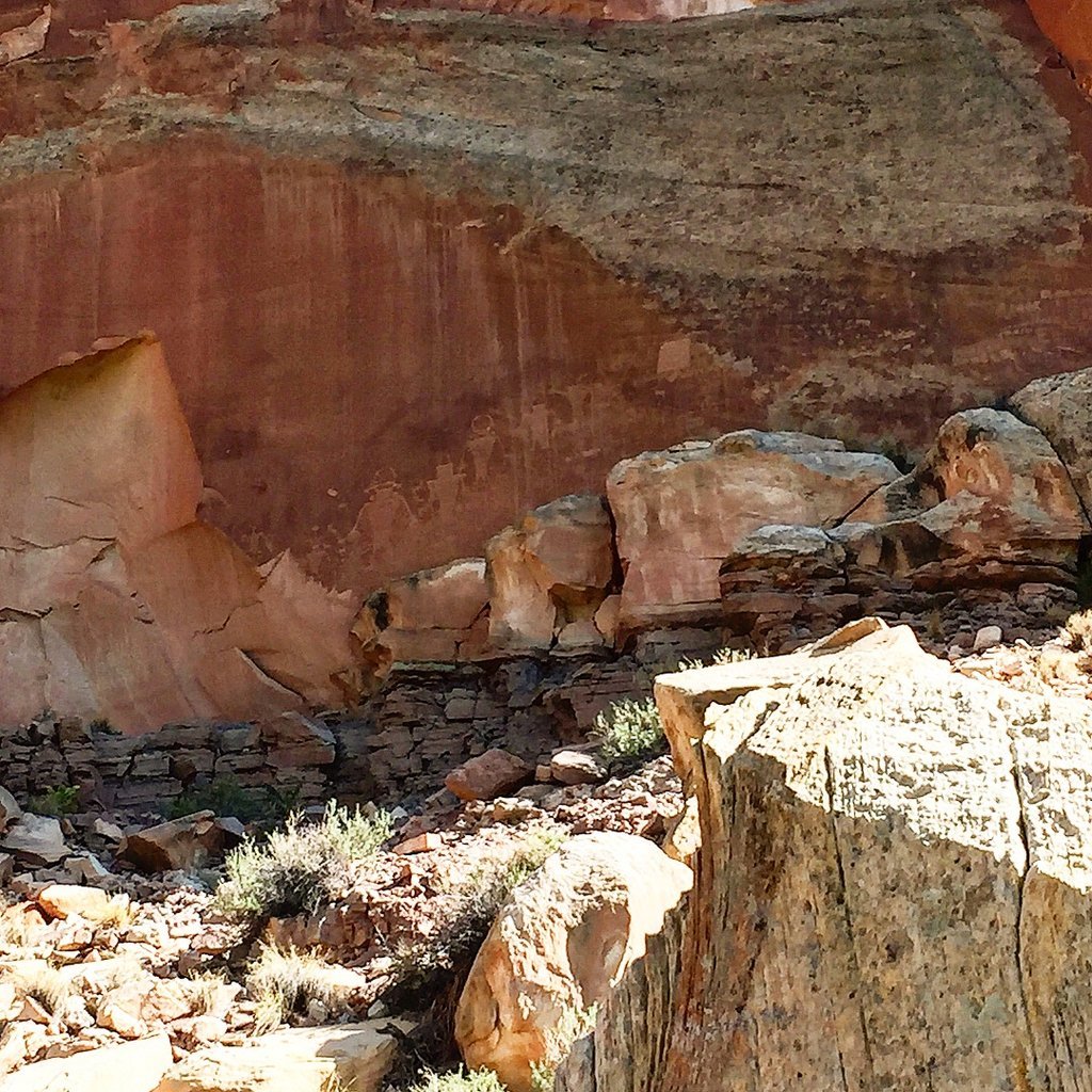 IMG_3770.jpg
