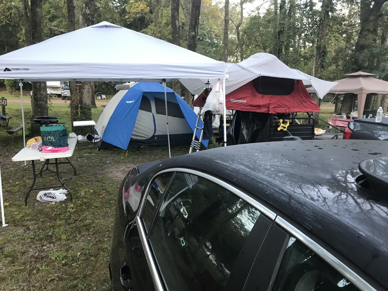 IMG_3826.jpg