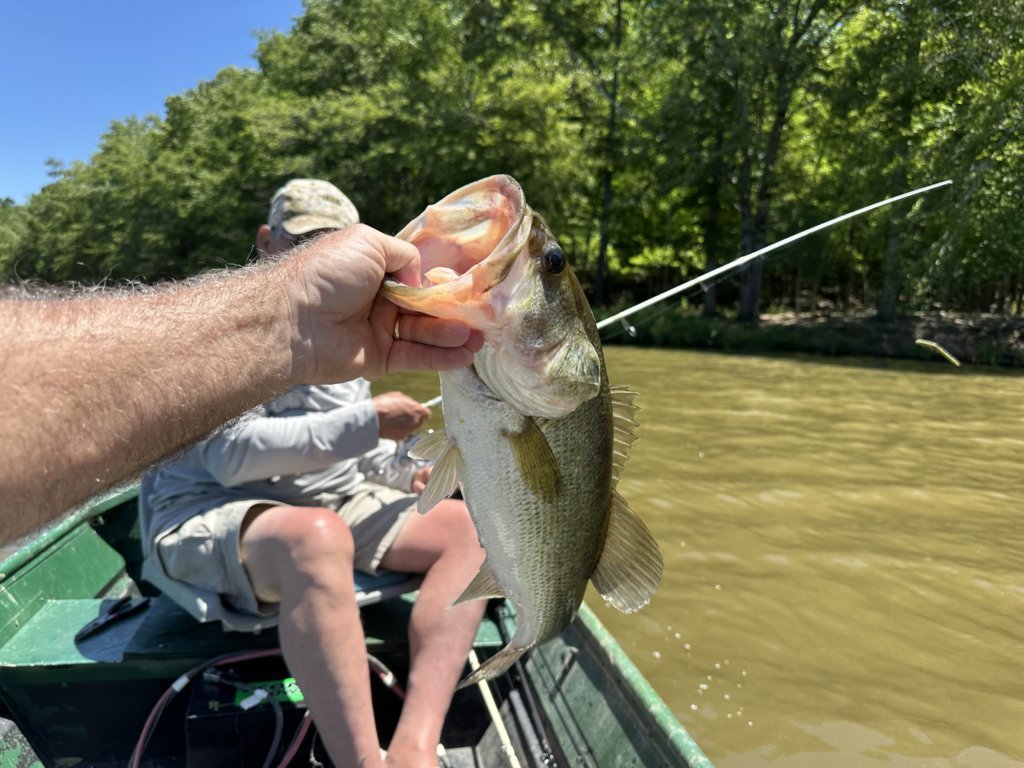 IMG_3826.jpg