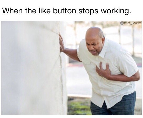 IMG_3966.PNG.jpg