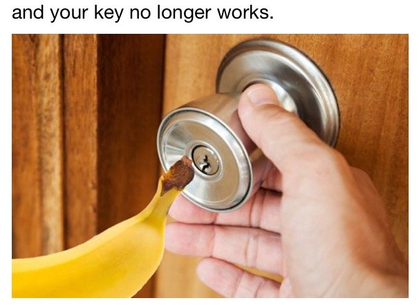 IMG_3986.PNG.jpg