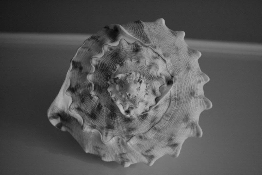 IMG_3993_8f9e0b938dedef9803fefe6ee4b45e48c8aa9006.jpg